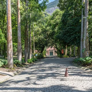 The wooded entrance road into Parque Lage, where the Corcovado trail begins