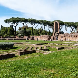 Open grass and excavated ruins across the Palatine Hill, with umbrella pines on the skyline
